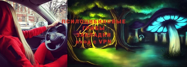 крисы Покров