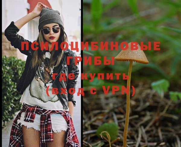 крисы Покров